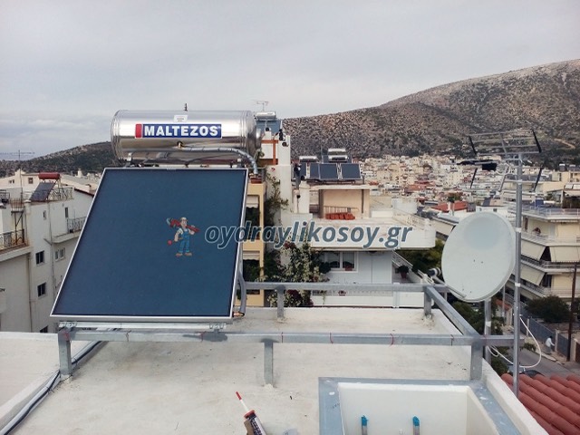 Ηλιακά Μαλτέζος — φωτογραφία 3
